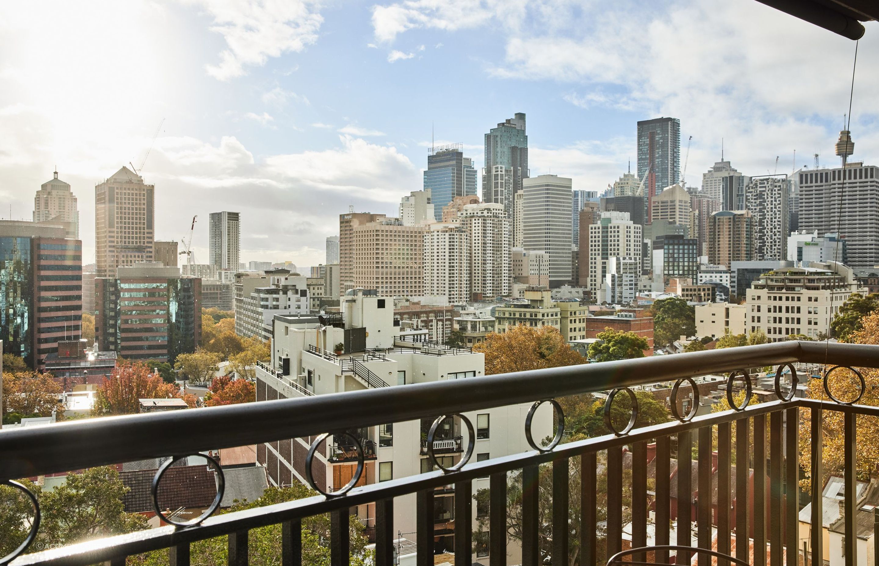 240501MADRileySurryHIlls1963.jpg