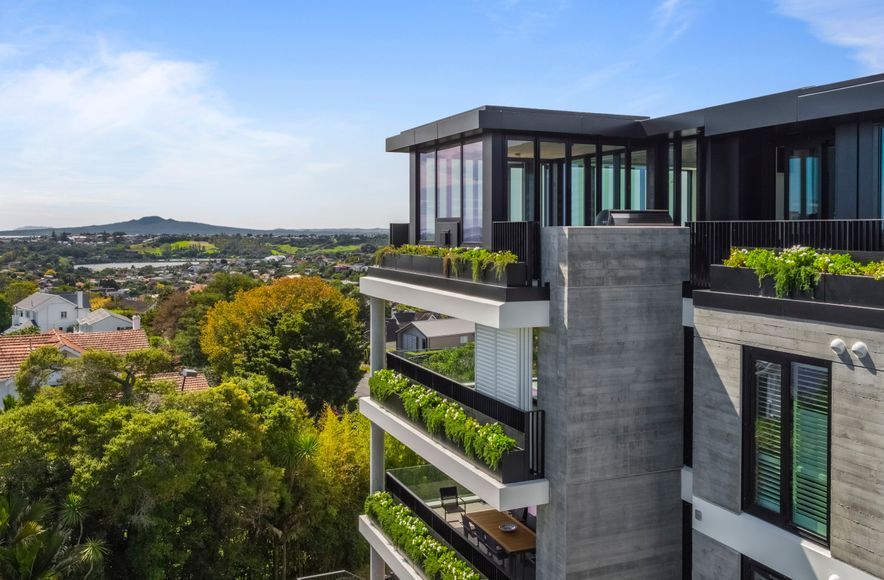 Elm Remuera
