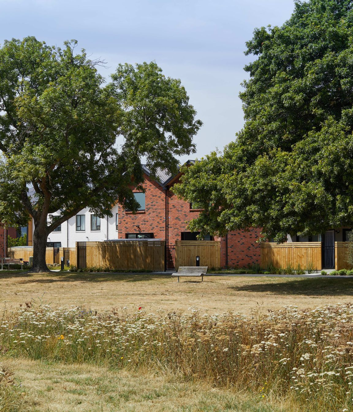4-Willard-StPark-2-Sarah-Rowlands4.jpg