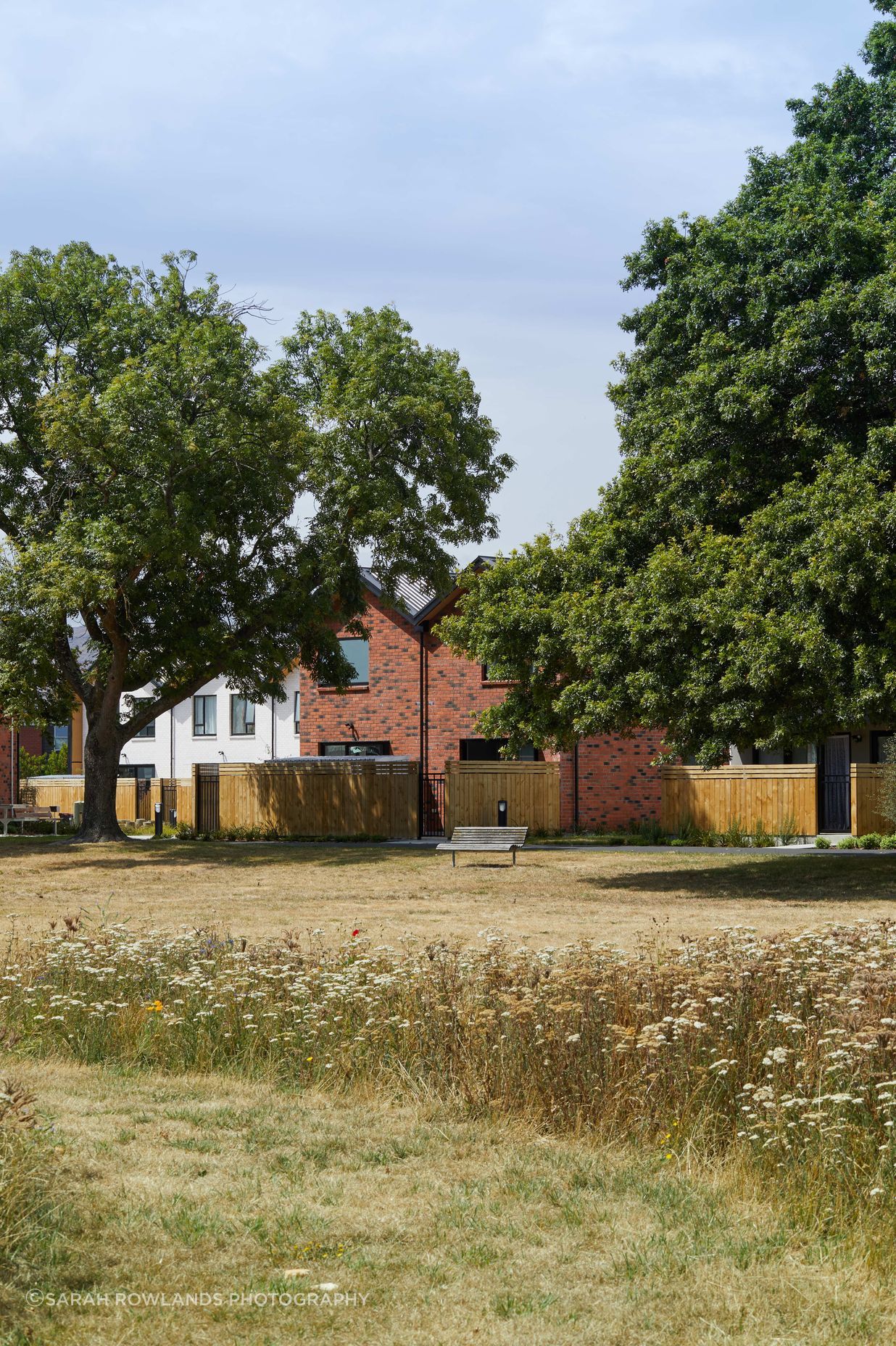 4-Willard-StPark-2-Sarah-Rowlands4.jpg