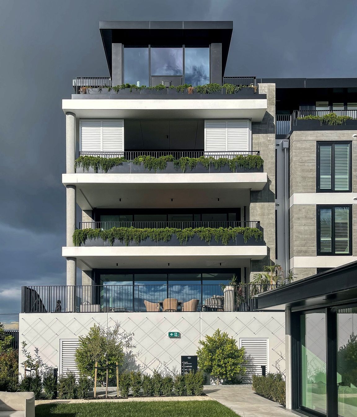 Elm Remuera