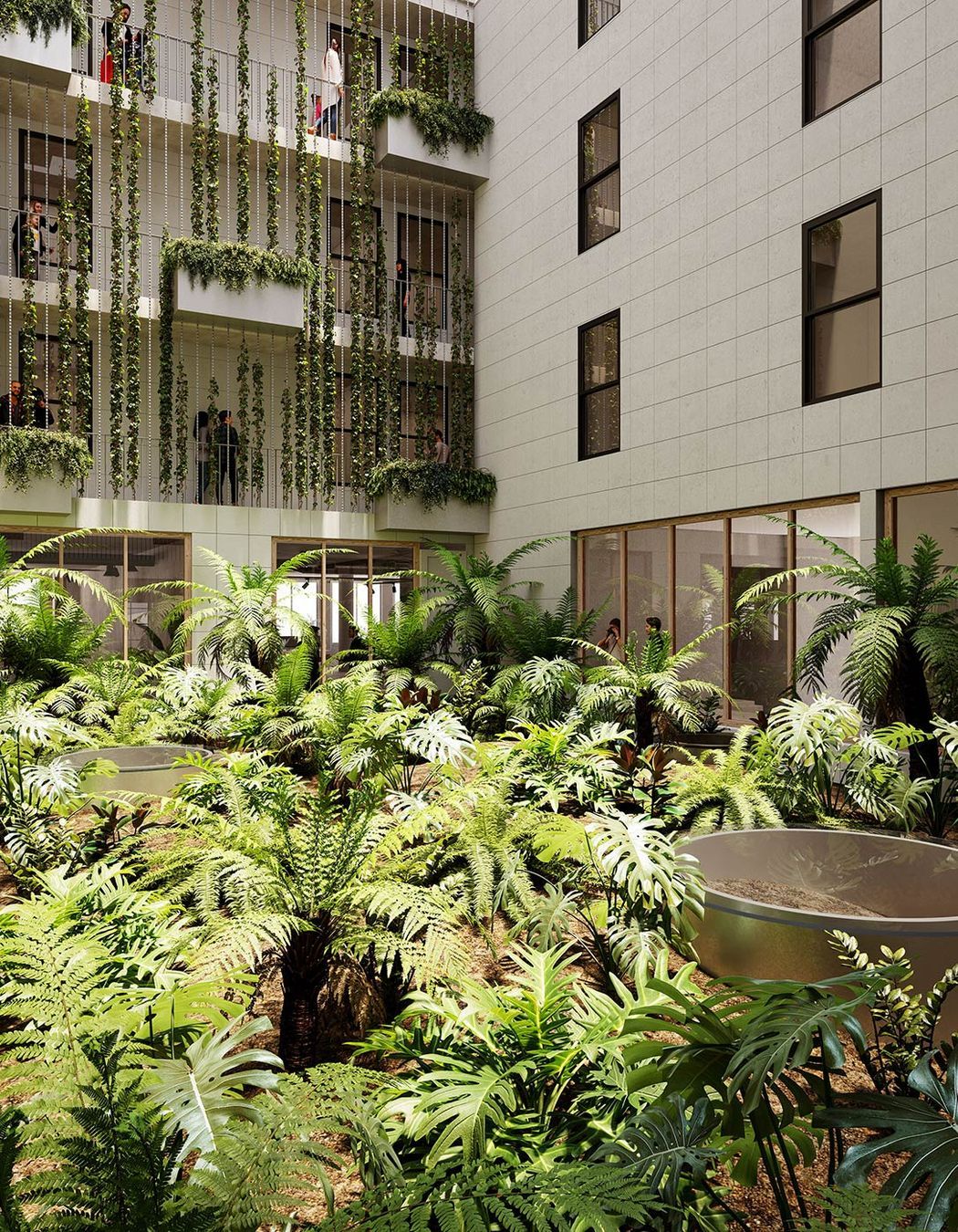 Nightingale Wurru-wurru, Laak, Yambook &amp; Ngawan