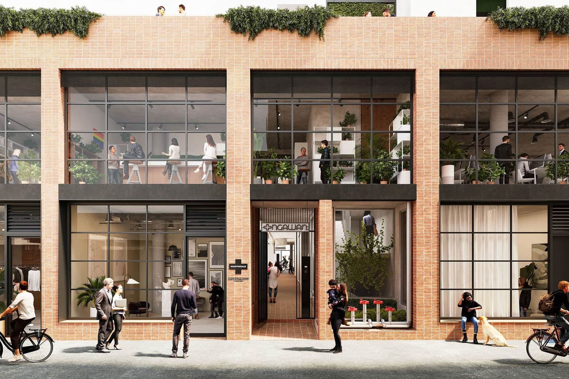 Nightingale Wurru-wurru, Laak, Yambook &amp; Ngawan