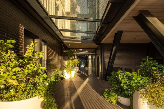 A long, covered outdoor passage or courtyard walkway between dark brick walls, with large white planters filled with lush greenery. A glazed overhead canopy brings in sunlight and creates patterned shadows across the tiled floor. Timber soffits and exposed dark structural beams add warmth and architectural definition.
