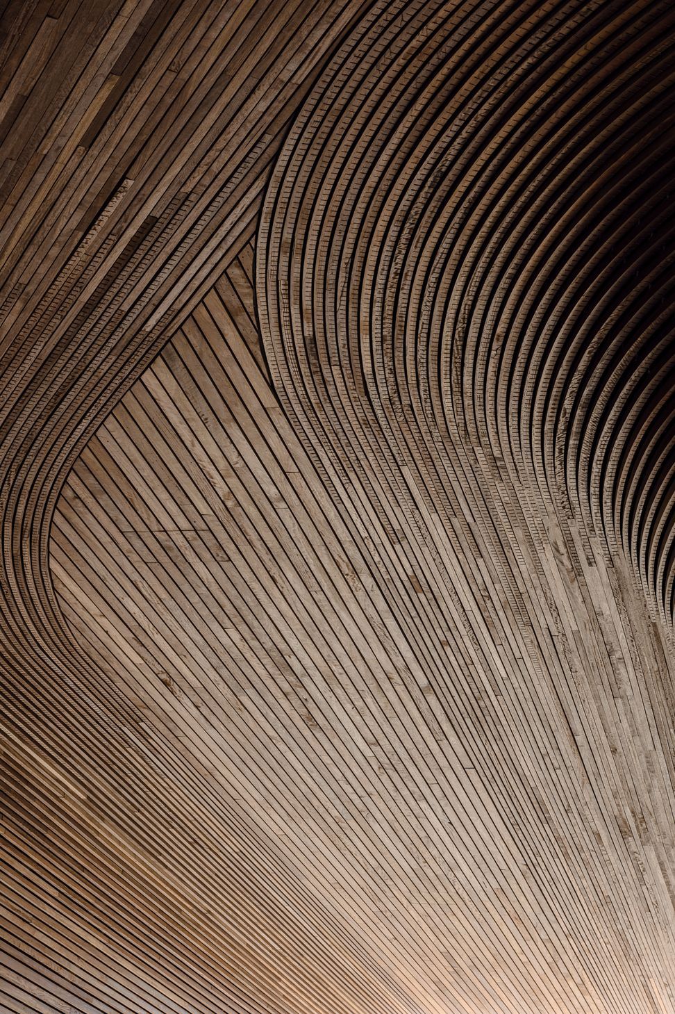 Arkadia by DKO Architecture