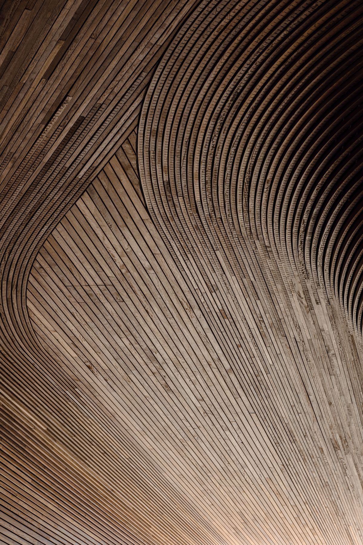 Arkadia by DKO Architecture