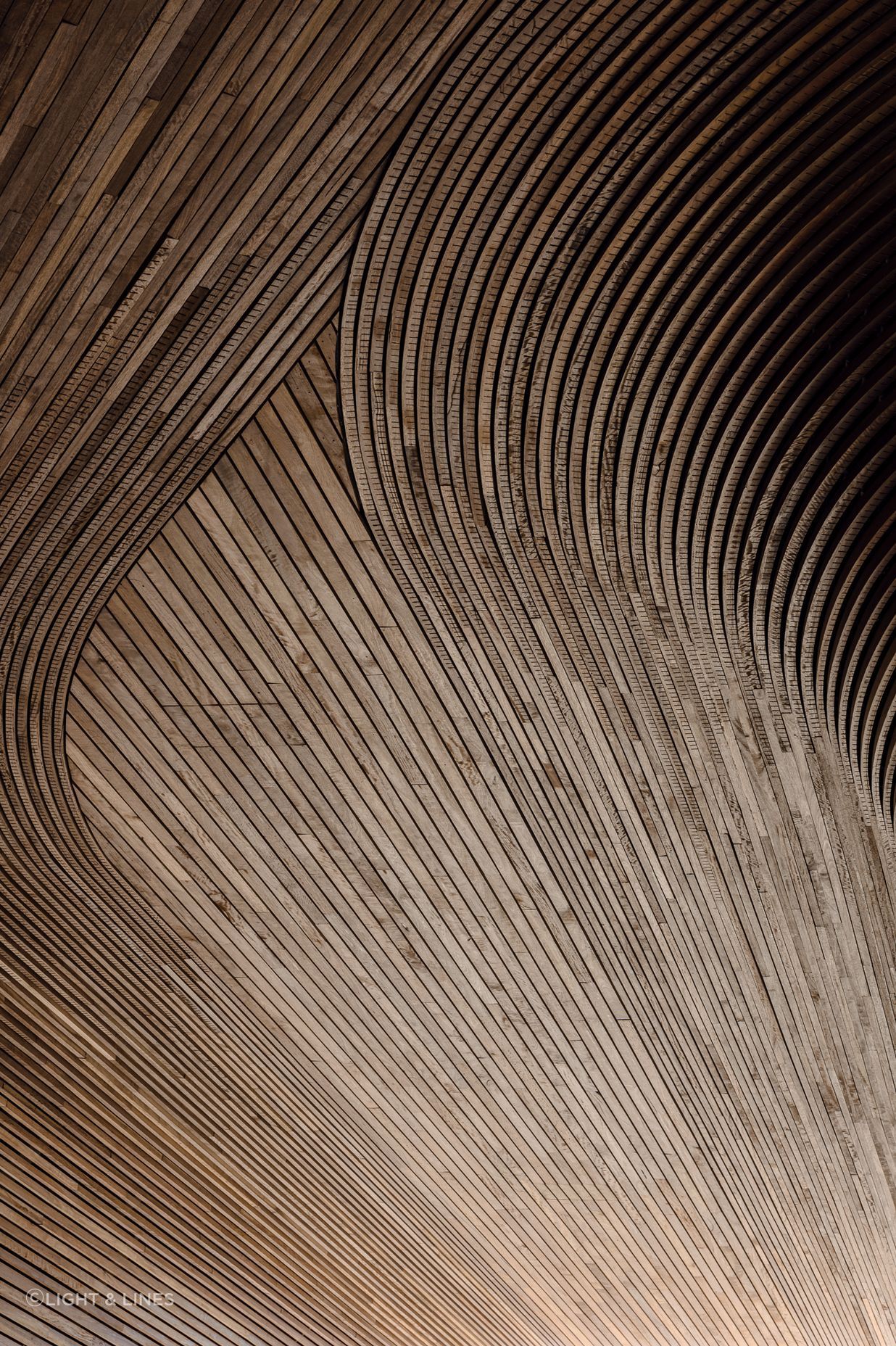 Arkadia by DKO Architecture