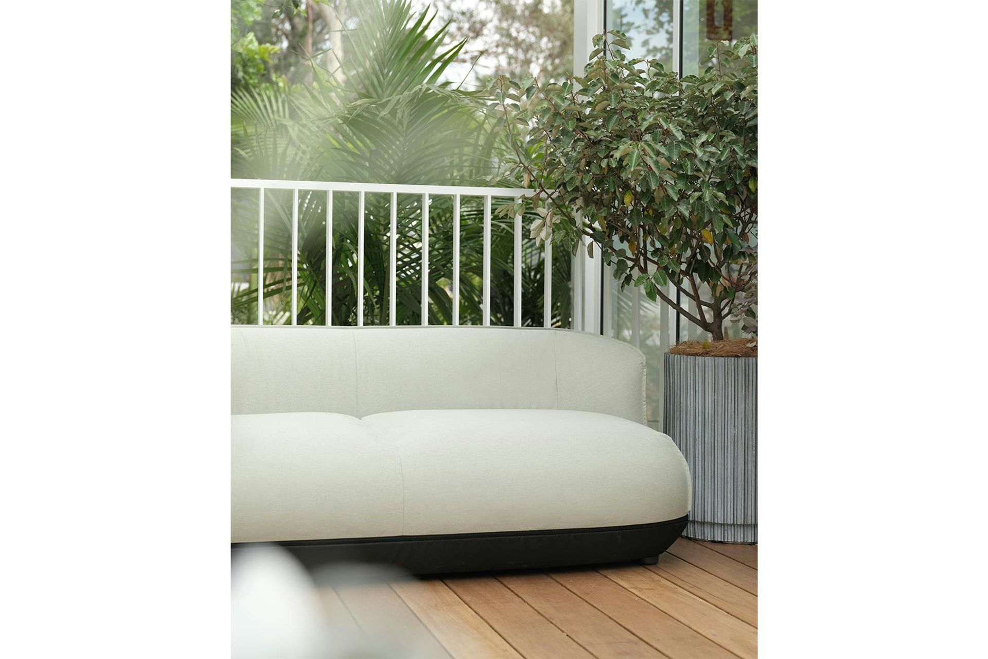 BABYLETTO6.jpg