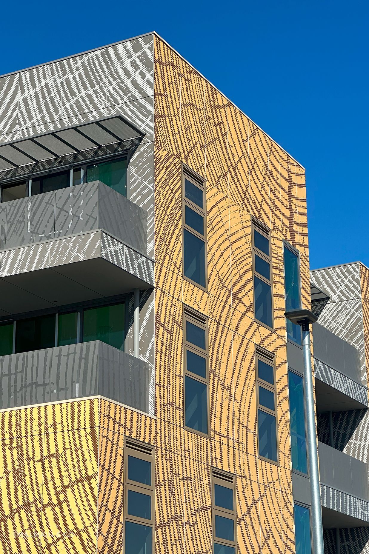 Balmain-CoBellfield-Social-Housing-ProjectAugust-2023-9839.jpg