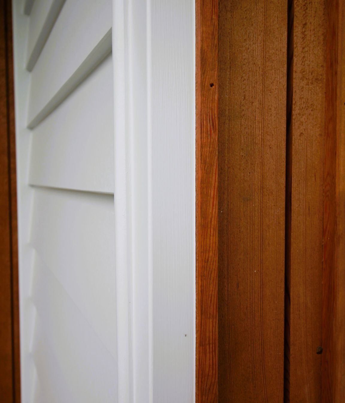 Cedar-1.JPG