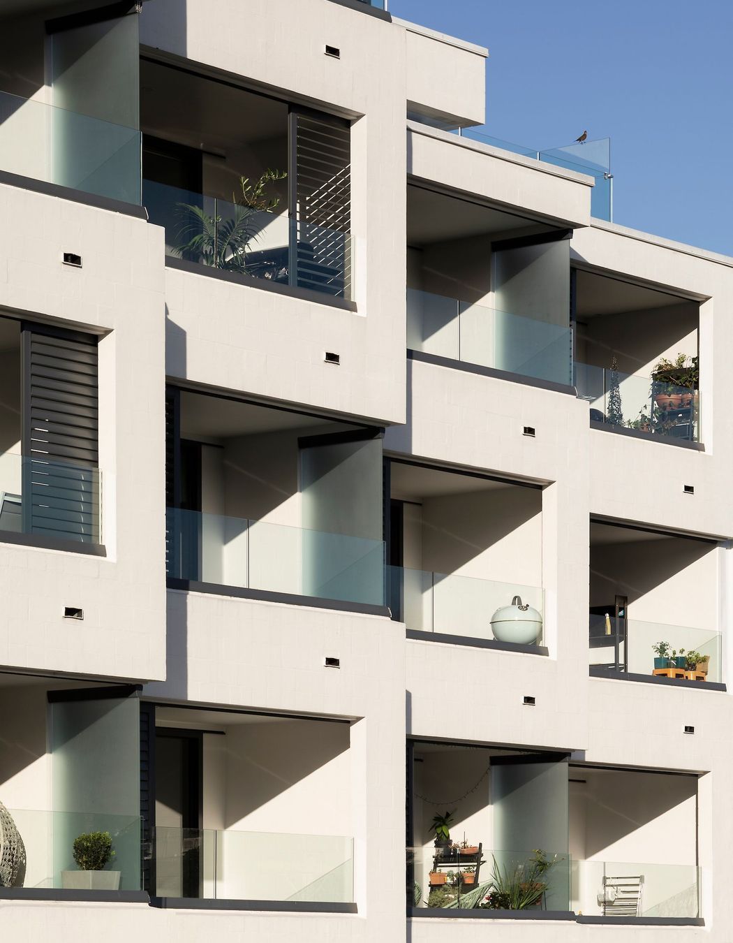 College Hill Apartments