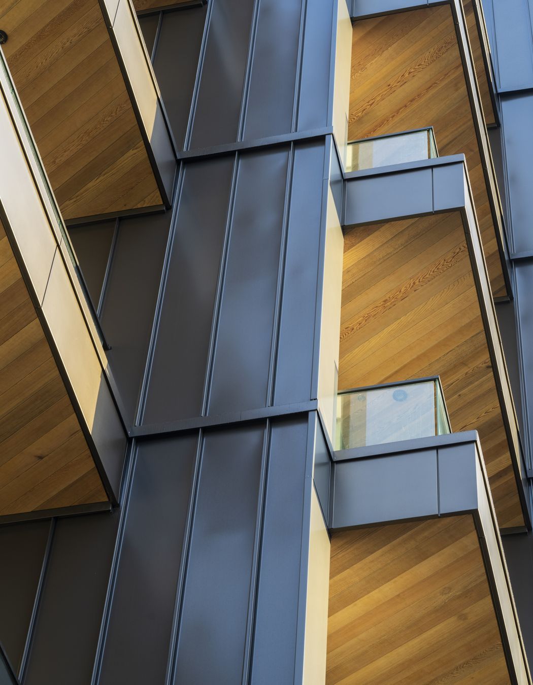 The tray profile metal cladding lining the exterior provides an elegant and striking juxtaposition to the cedar soffits.