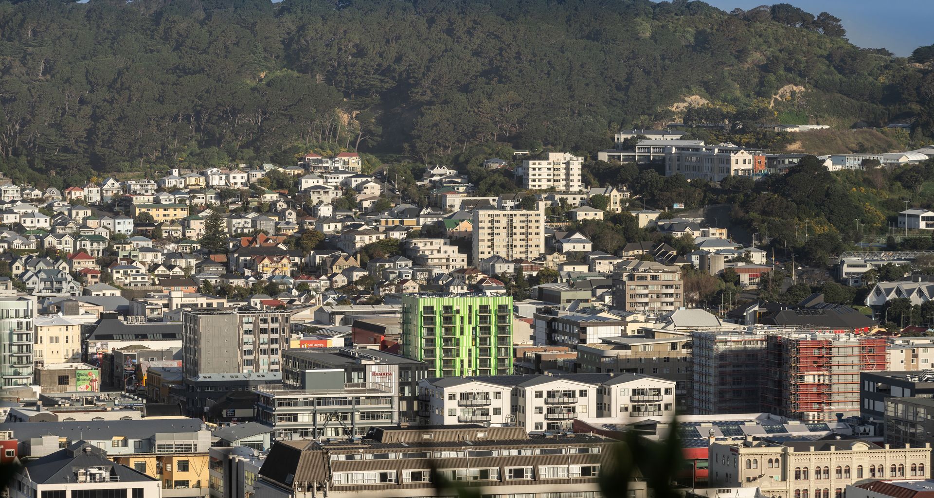 Te Ki a Alasdair - Frederick St Social Housing banner