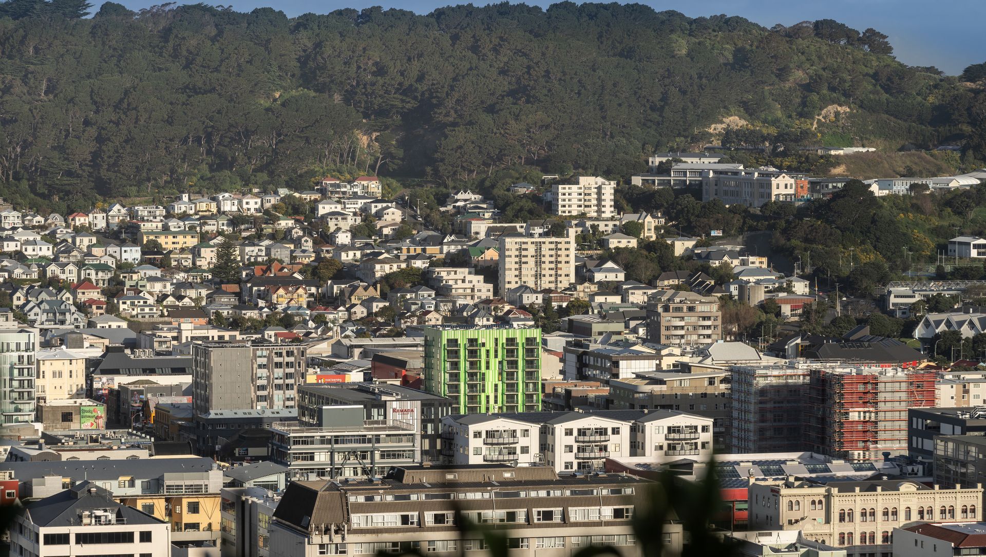 Te Ki a Alasdair - Frederick St Social Housing banner