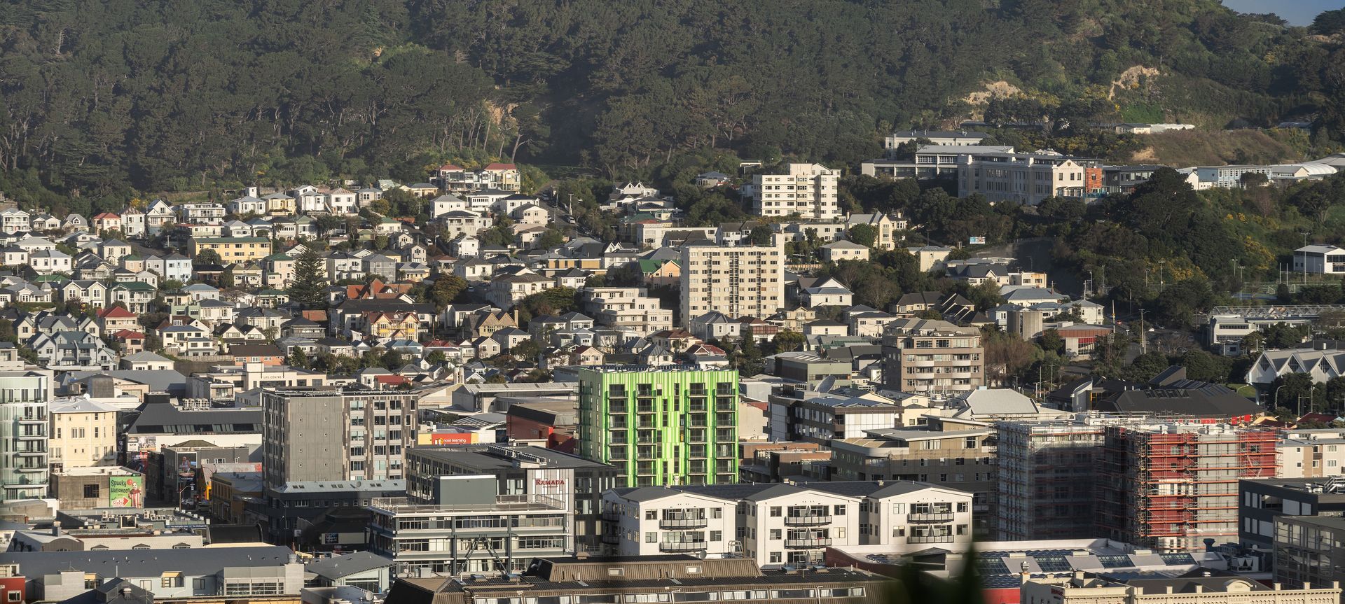 Te Ki a Alasdair - Frederick St Social Housing banner