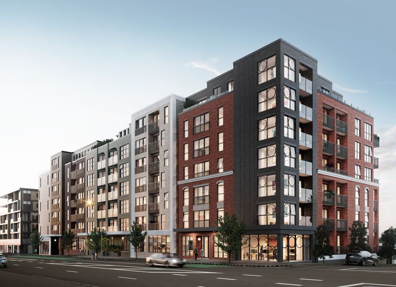 Feynman by Ockham Residential, Grey Lynn