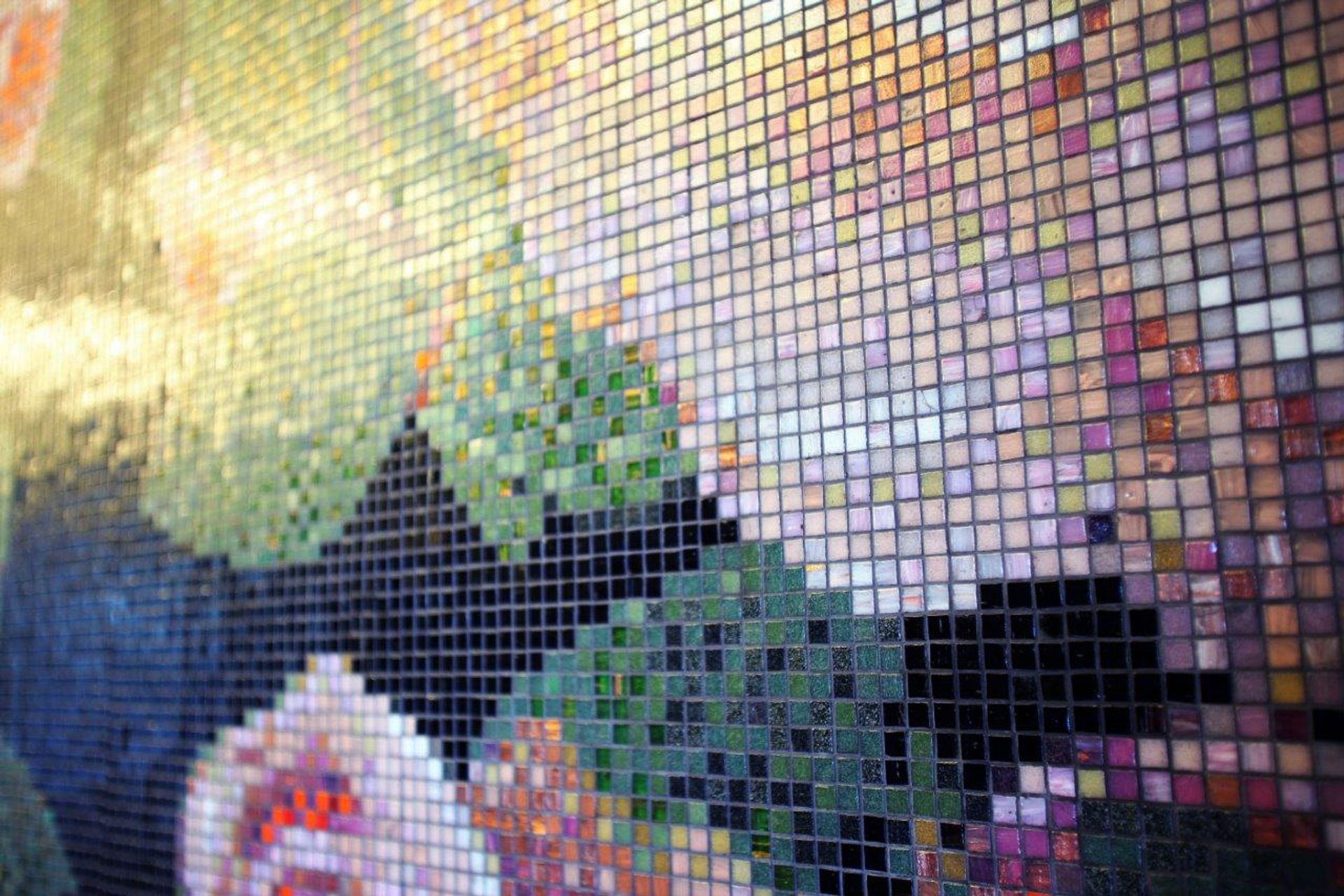 Chaffers Dock Apartments