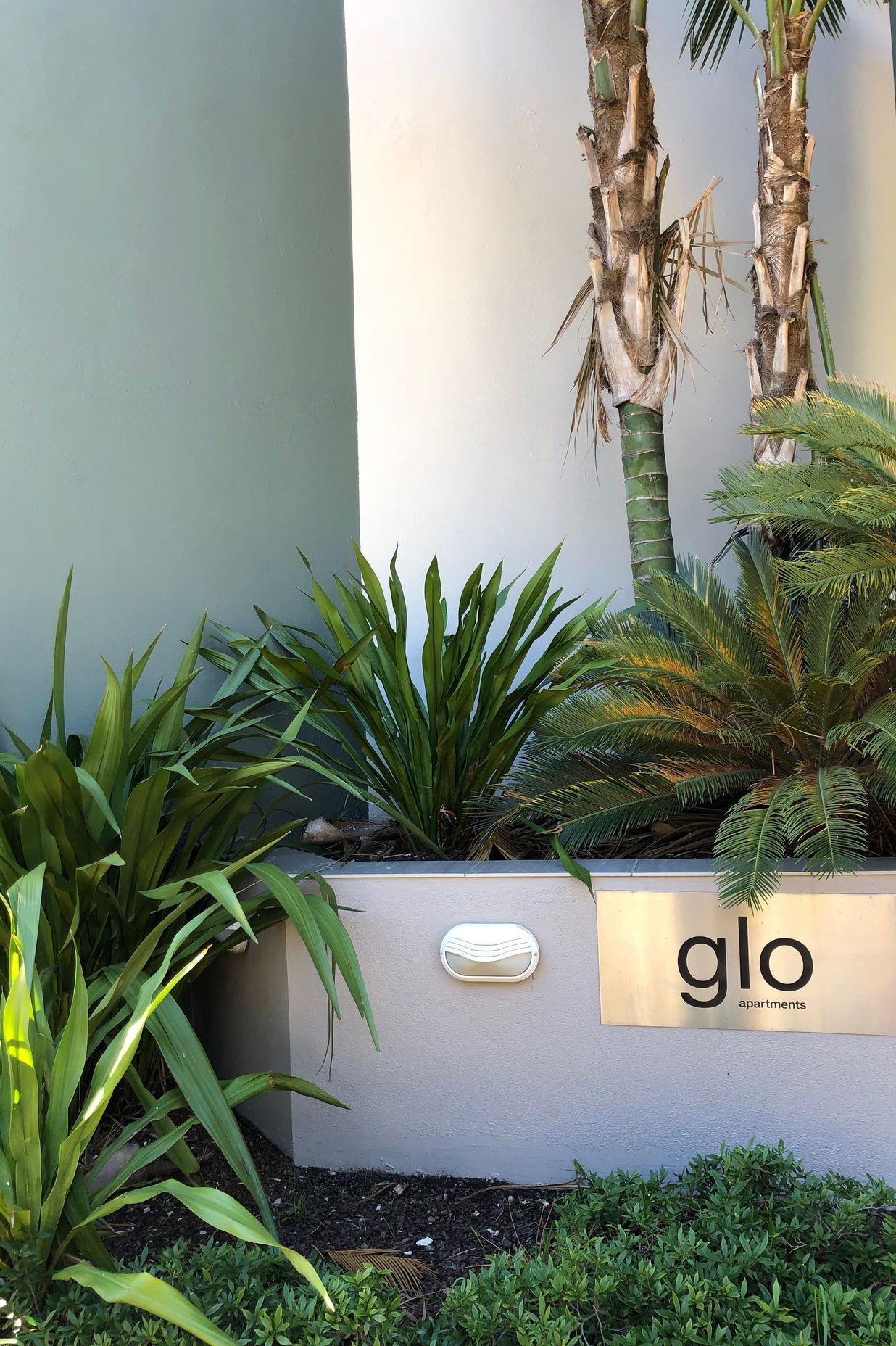 Glo Apartments, Erskineville