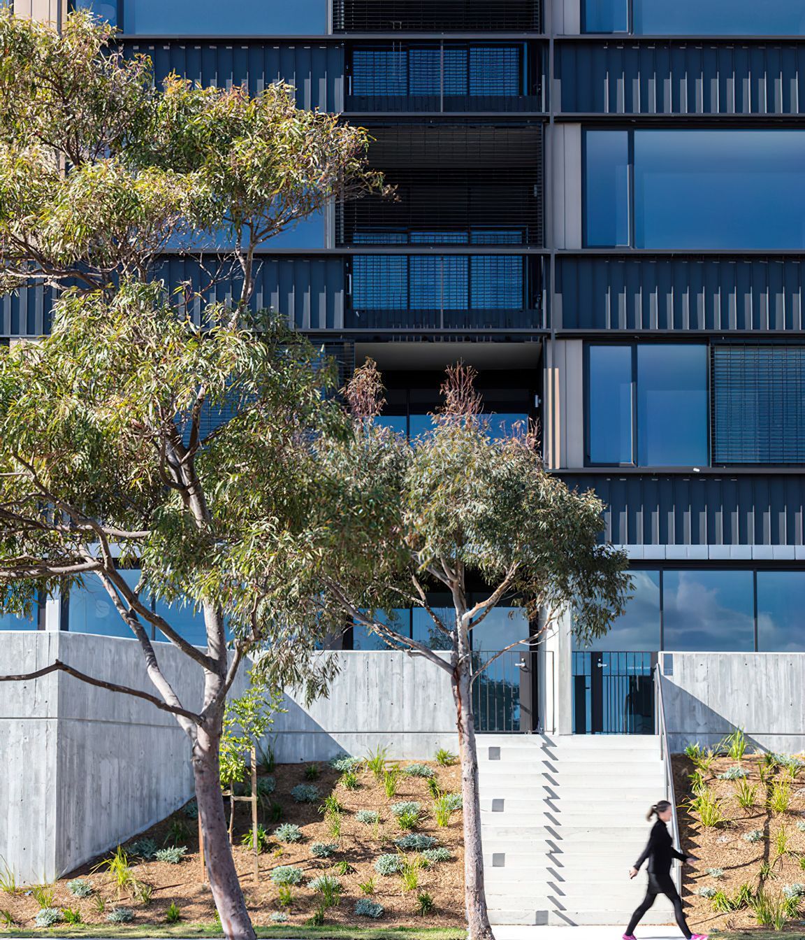 Illume Little Bay Nsw 5000m² of Our PVDFAluminium Range