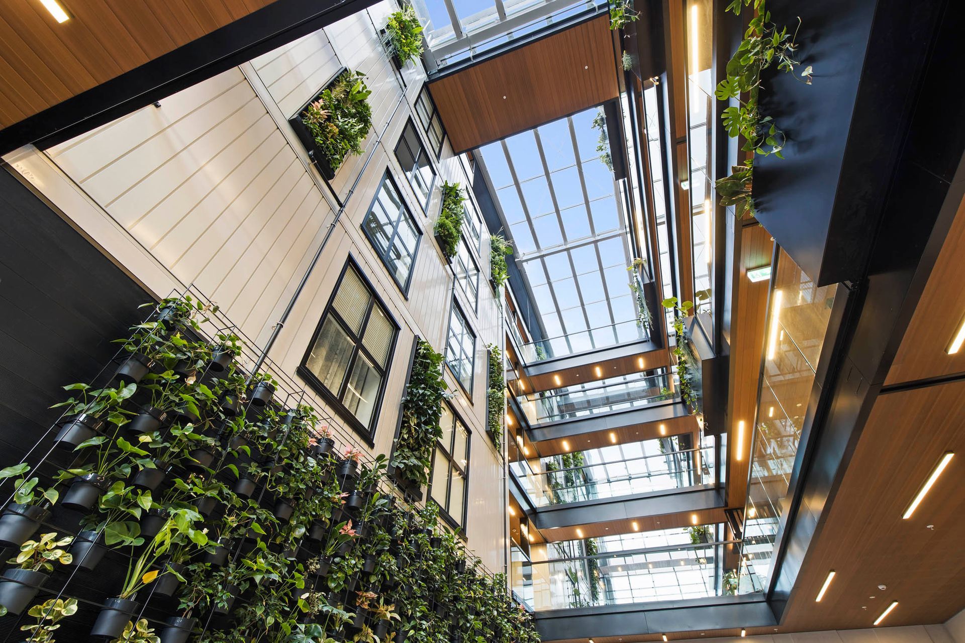 The Victor Browns Bay