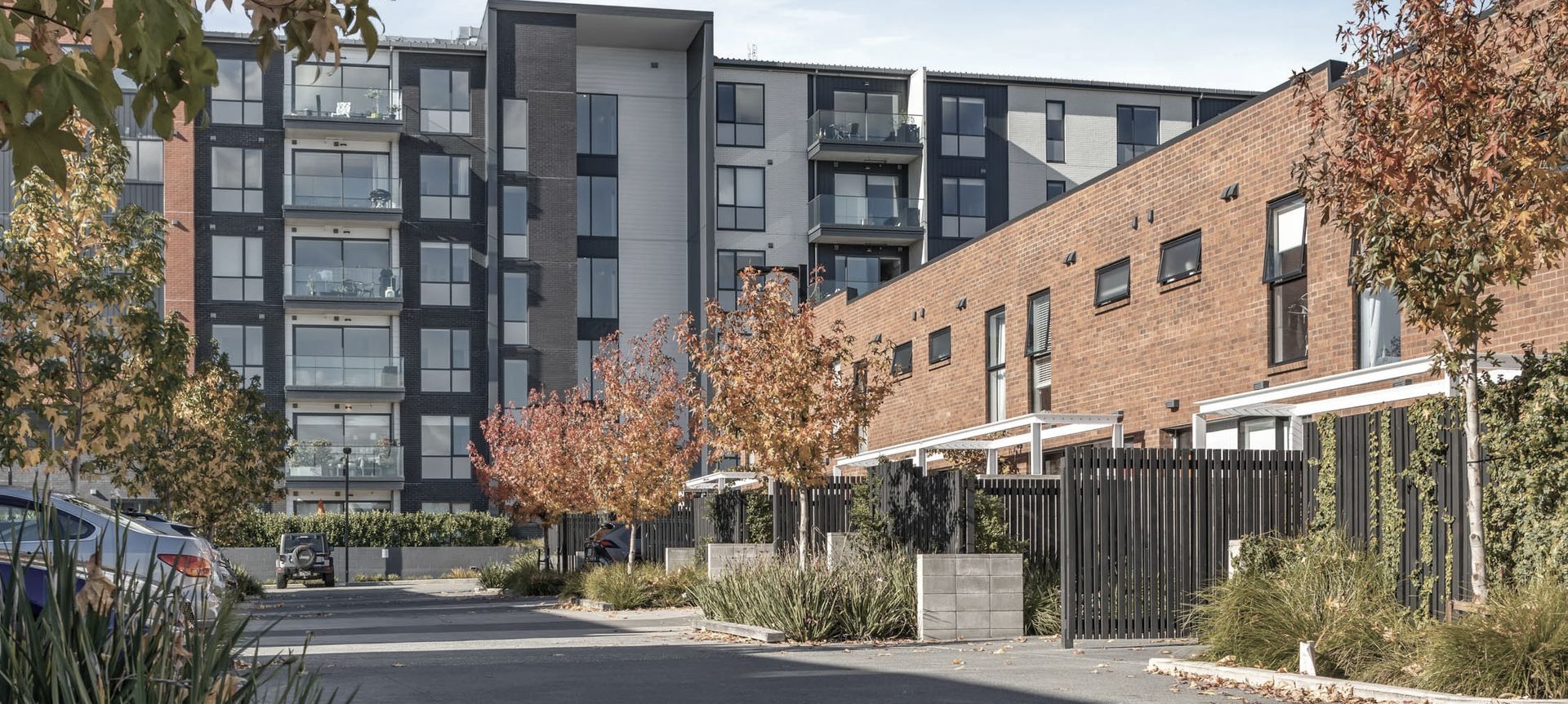 Hobsonville Point Development banner