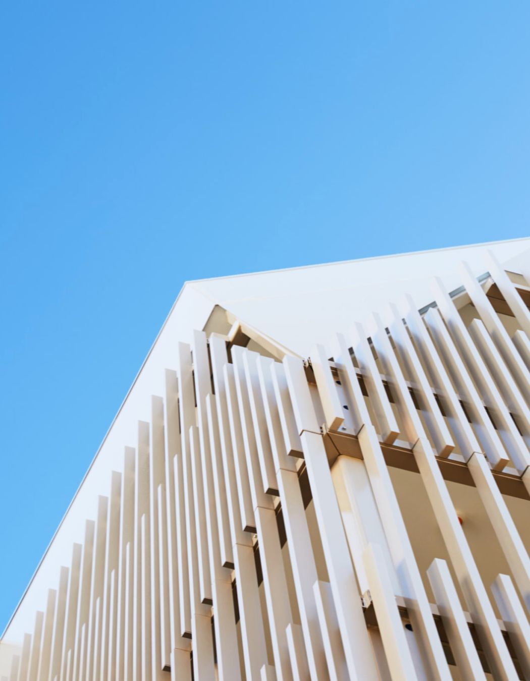 Photography: Rebecca Newman