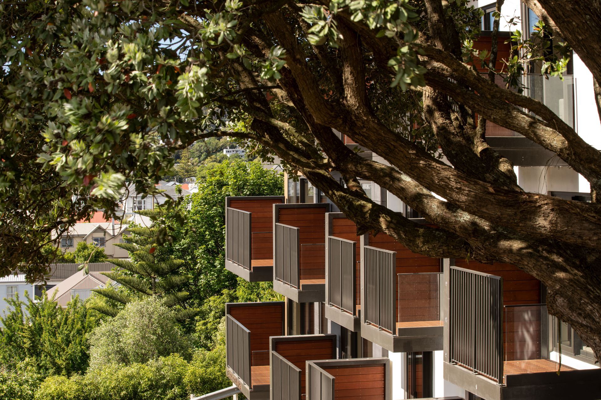 Mary Potter Apartments