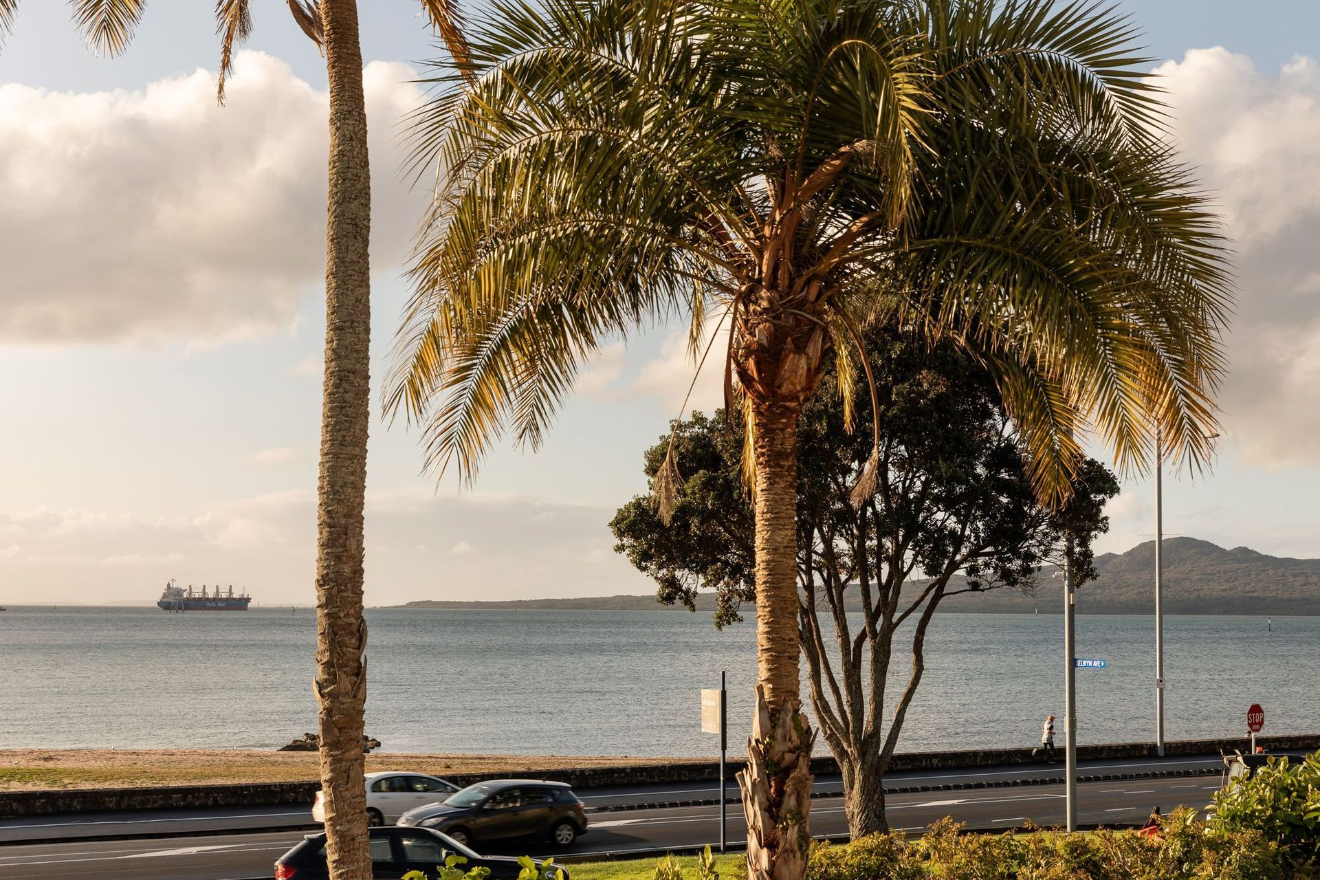 Mission Bay Apartment