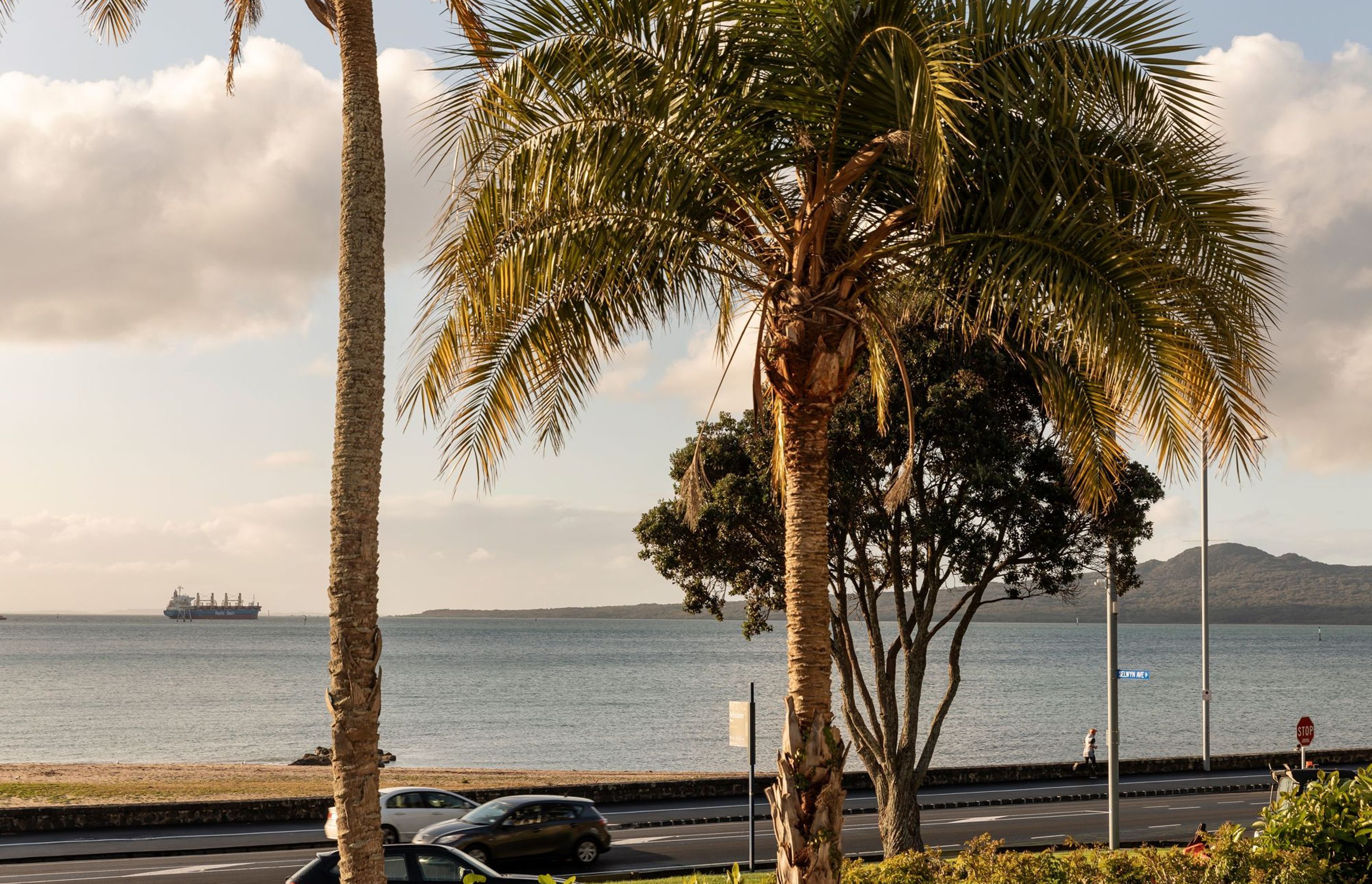 Mission Bay Apartment