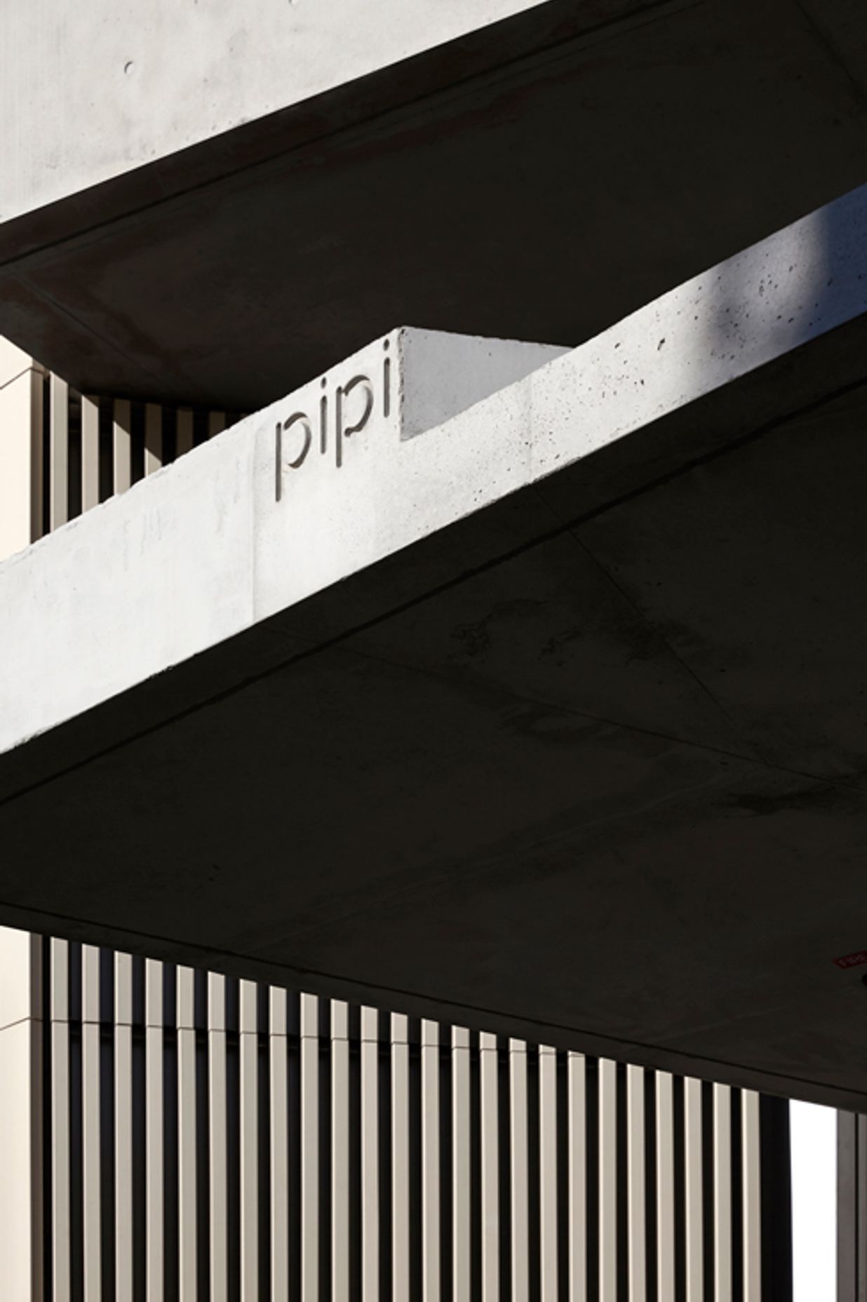 Pipi
