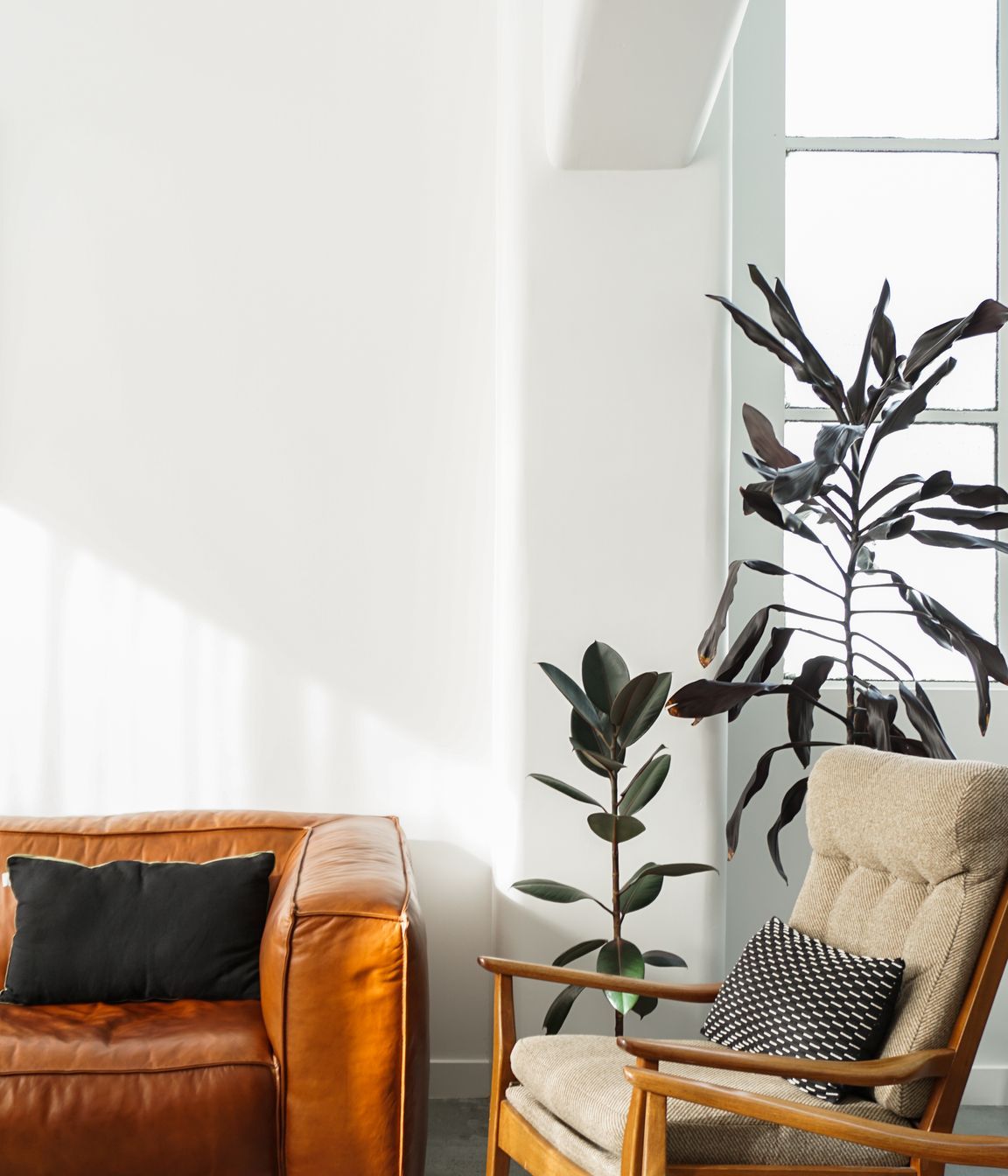 College Street Apartment