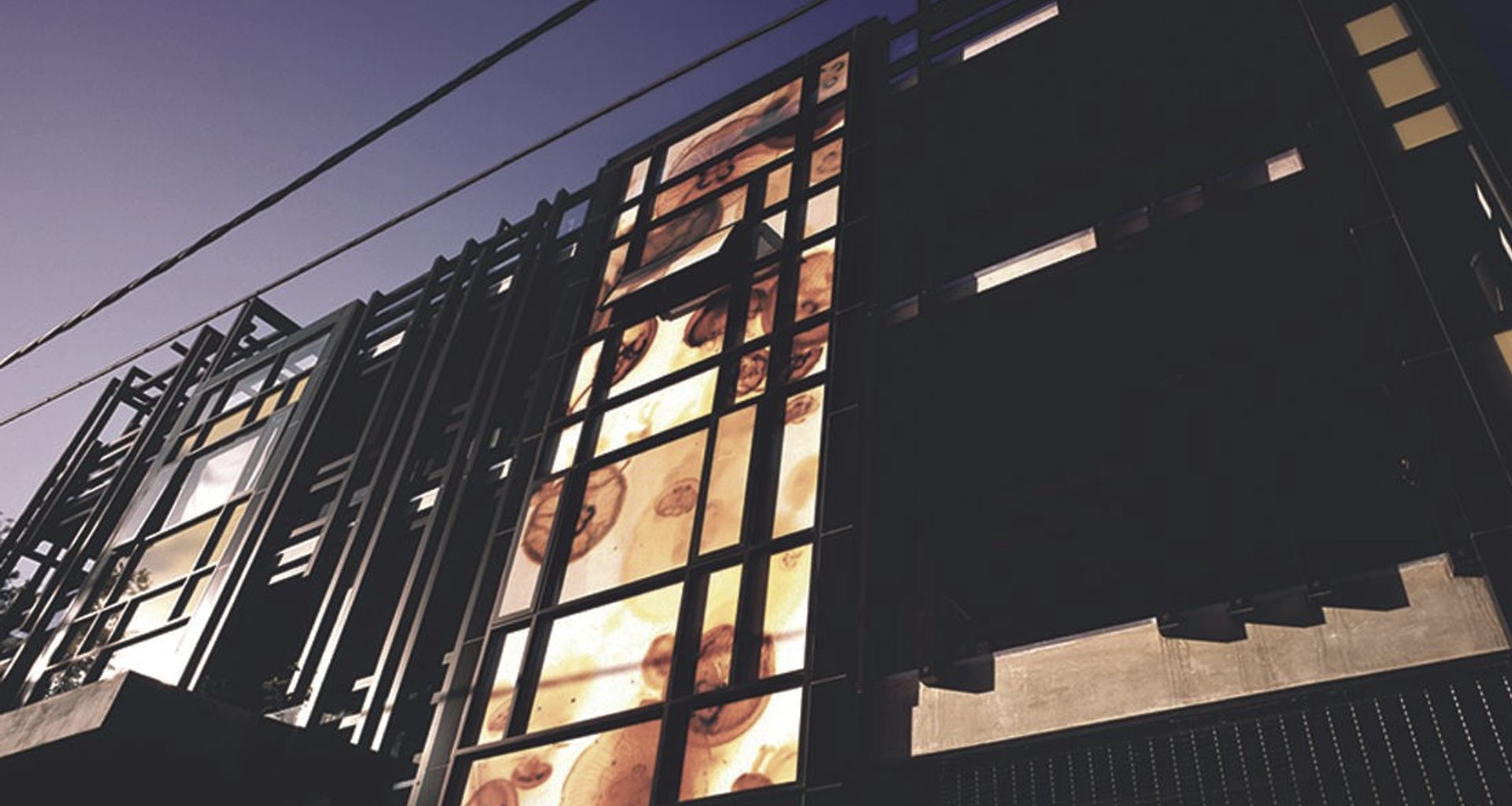 Stanley banner