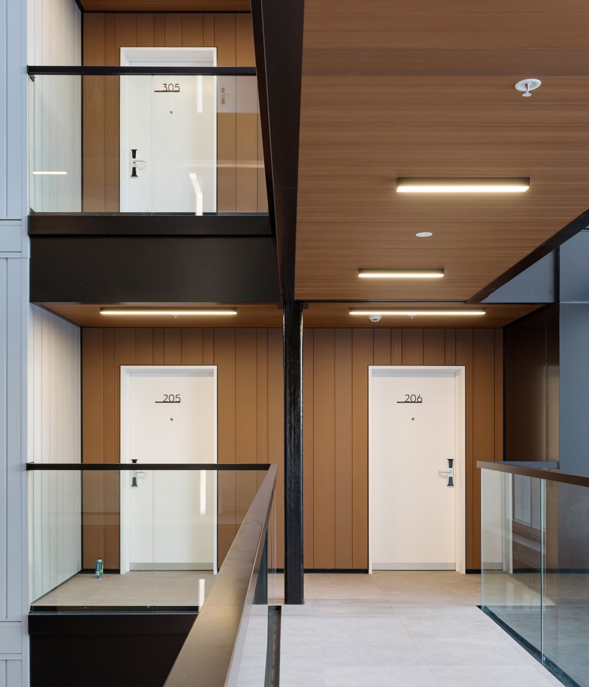 Victor Apartments, Browns Bay. Innoclad and Innoceil (spotted gum).
