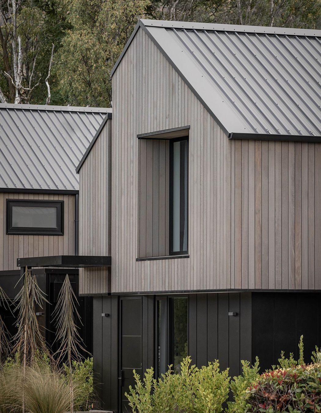 Upton-Street-ApartmentsCondon-Scott-ArchitectsExterior-Cedar-Cladding.jpg