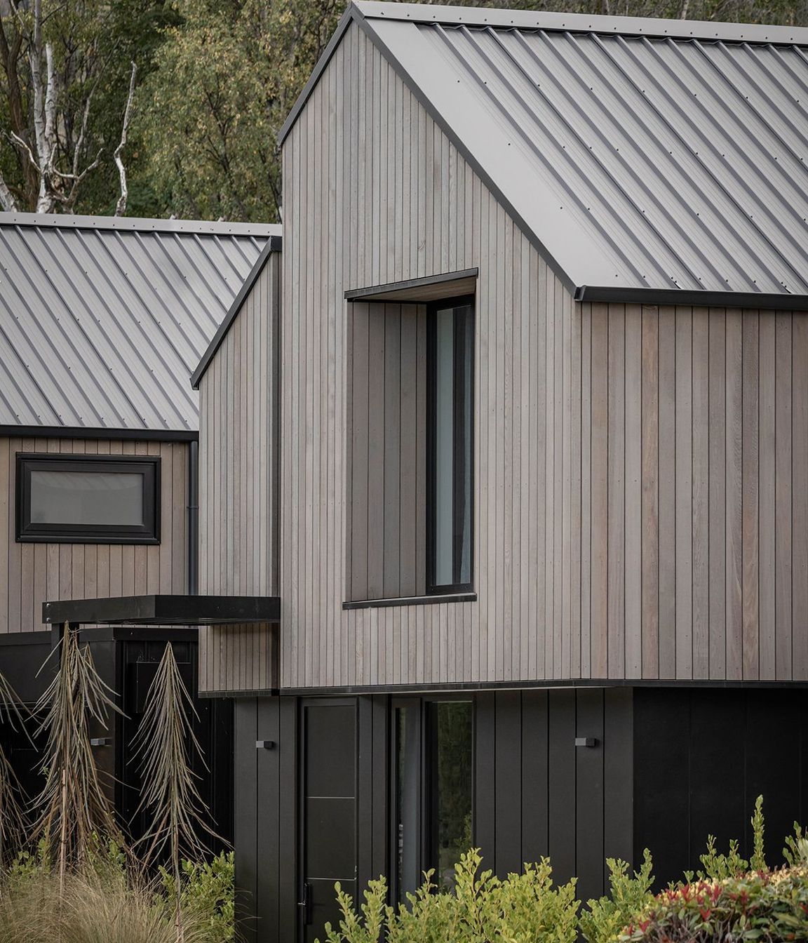 Upton-Street-ApartmentsCondon-Scott-ArchitectsExterior-Cedar-Cladding.jpg