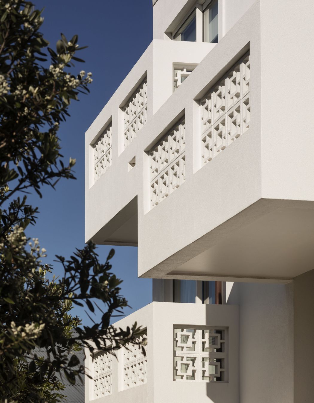 Wamaka Buildings &amp; Wilkinson House