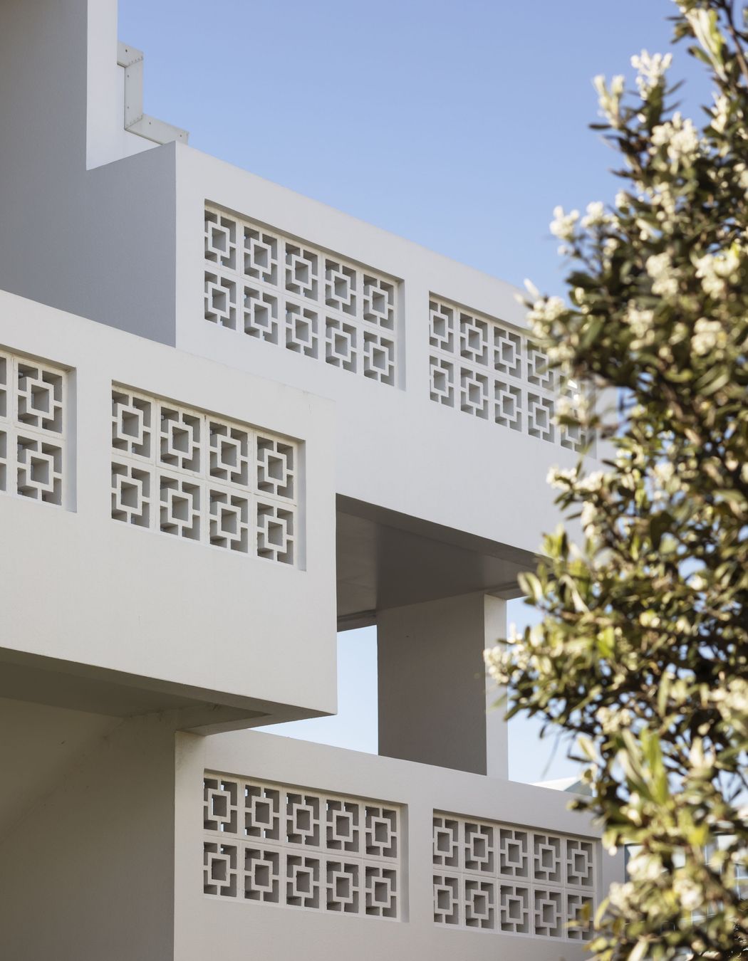 Wamaka Buildings &amp; Wilkinson House