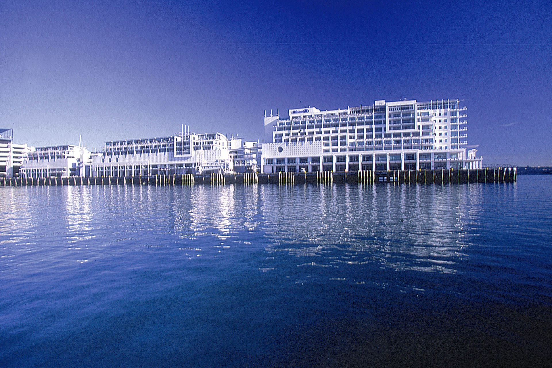 Hilton Auckland