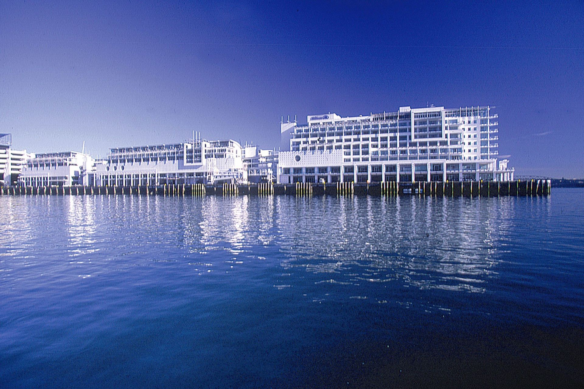 Hilton Auckland