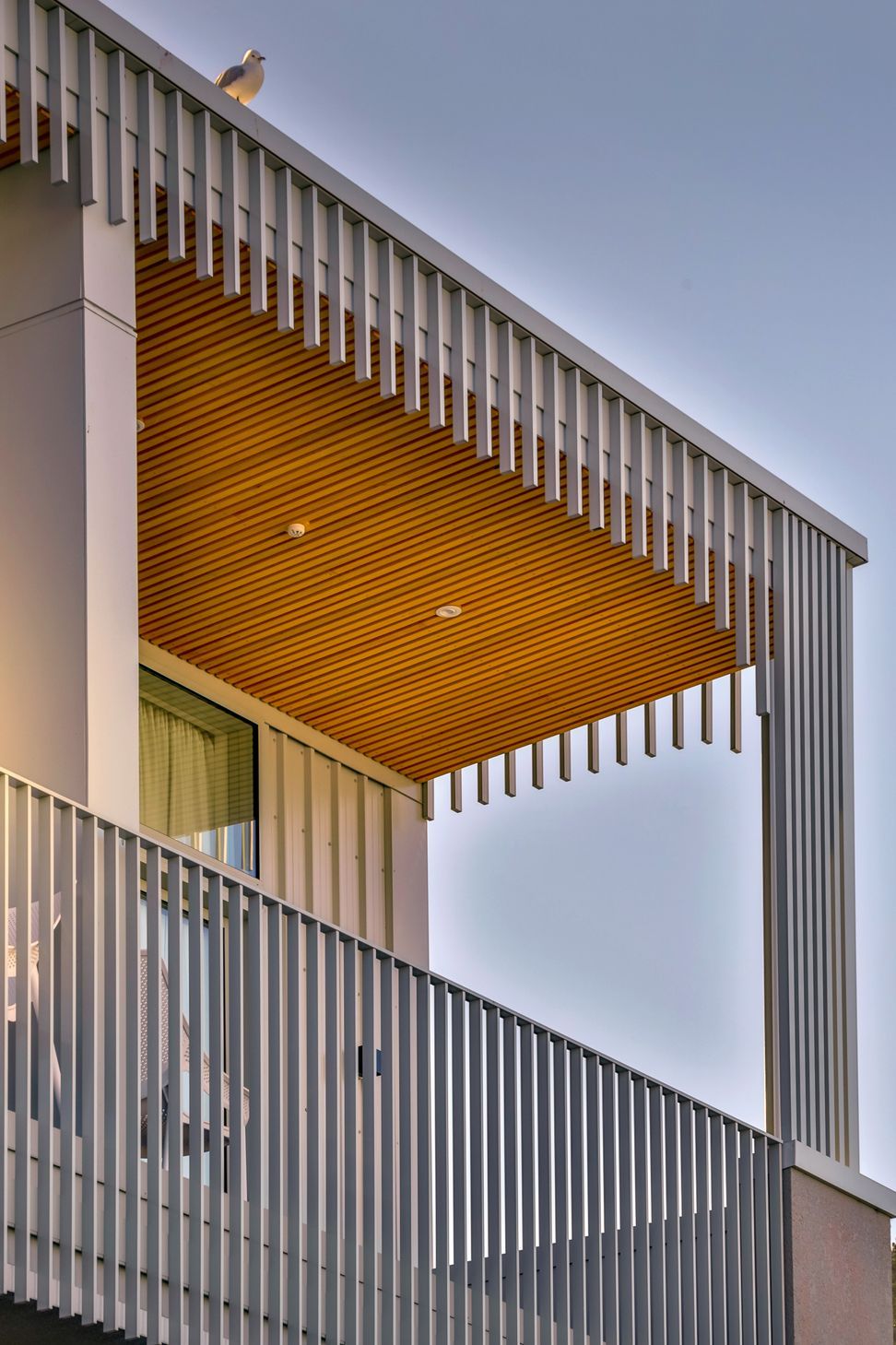 Z8A4232.jpg