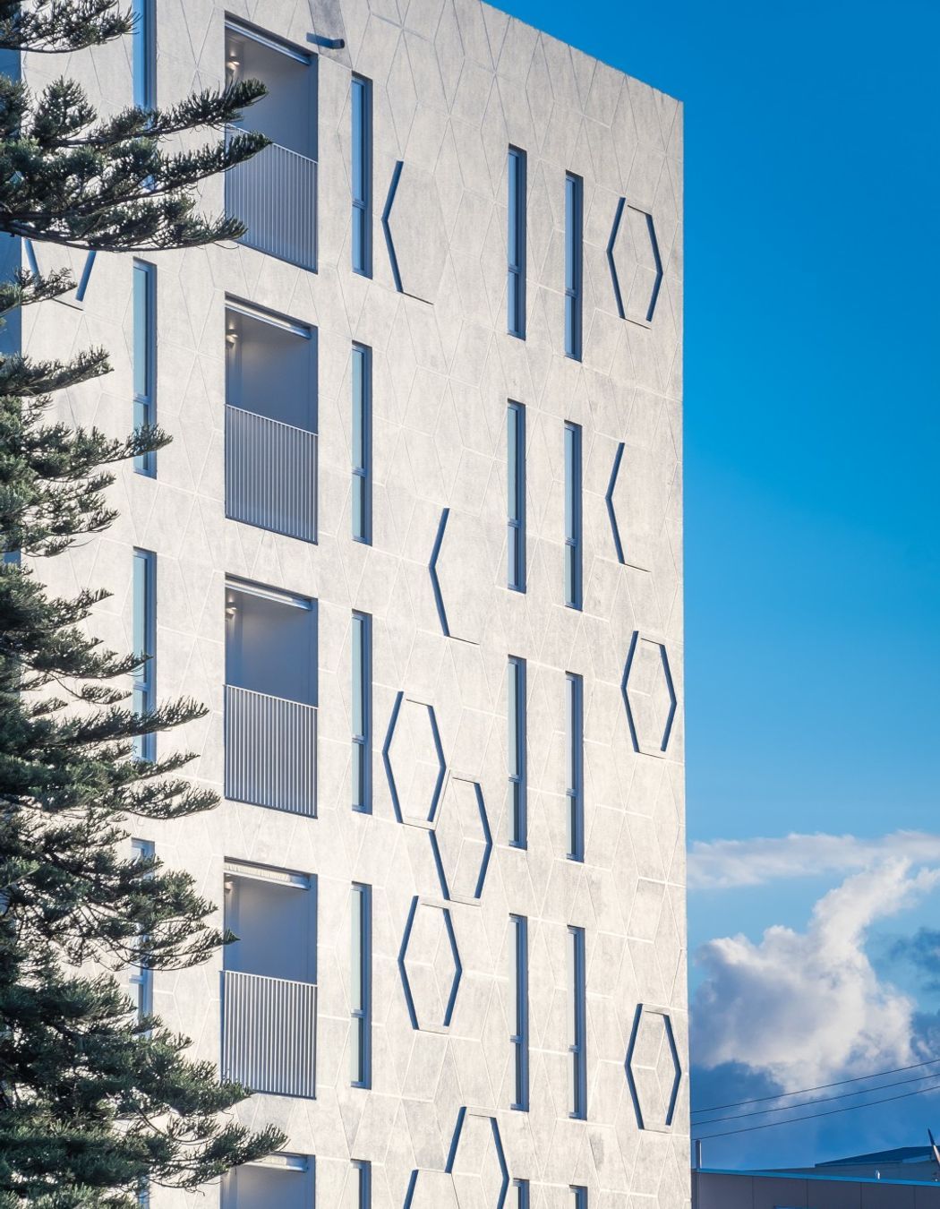 Daisy Apartments, Photography by Ockham Residential
