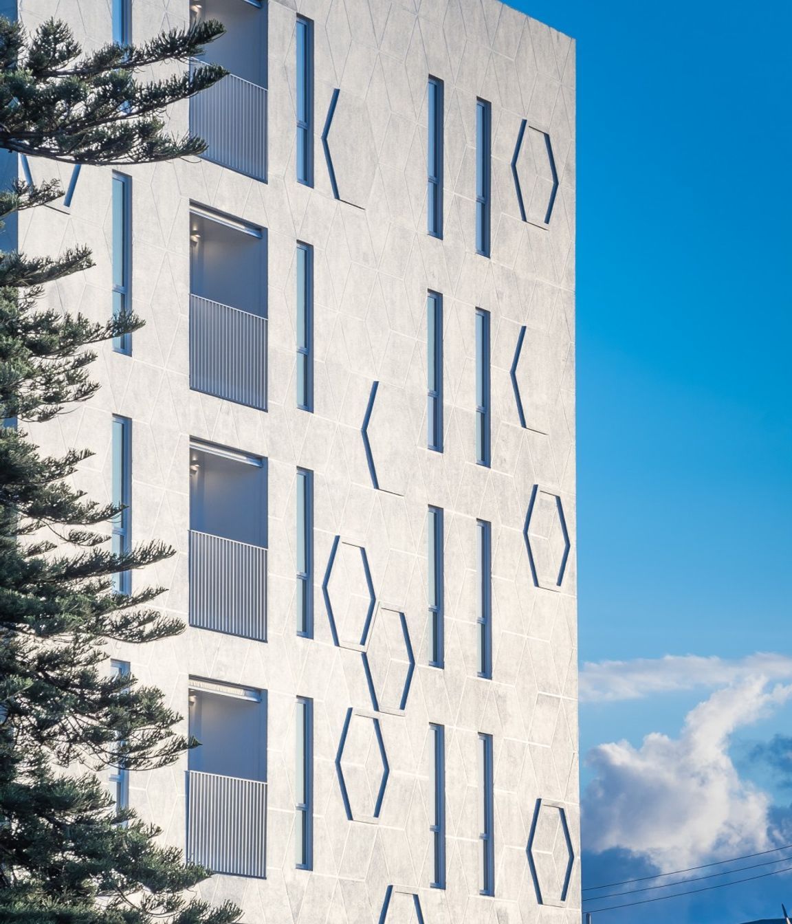 Daisy Apartments, Photography by Ockham Residential