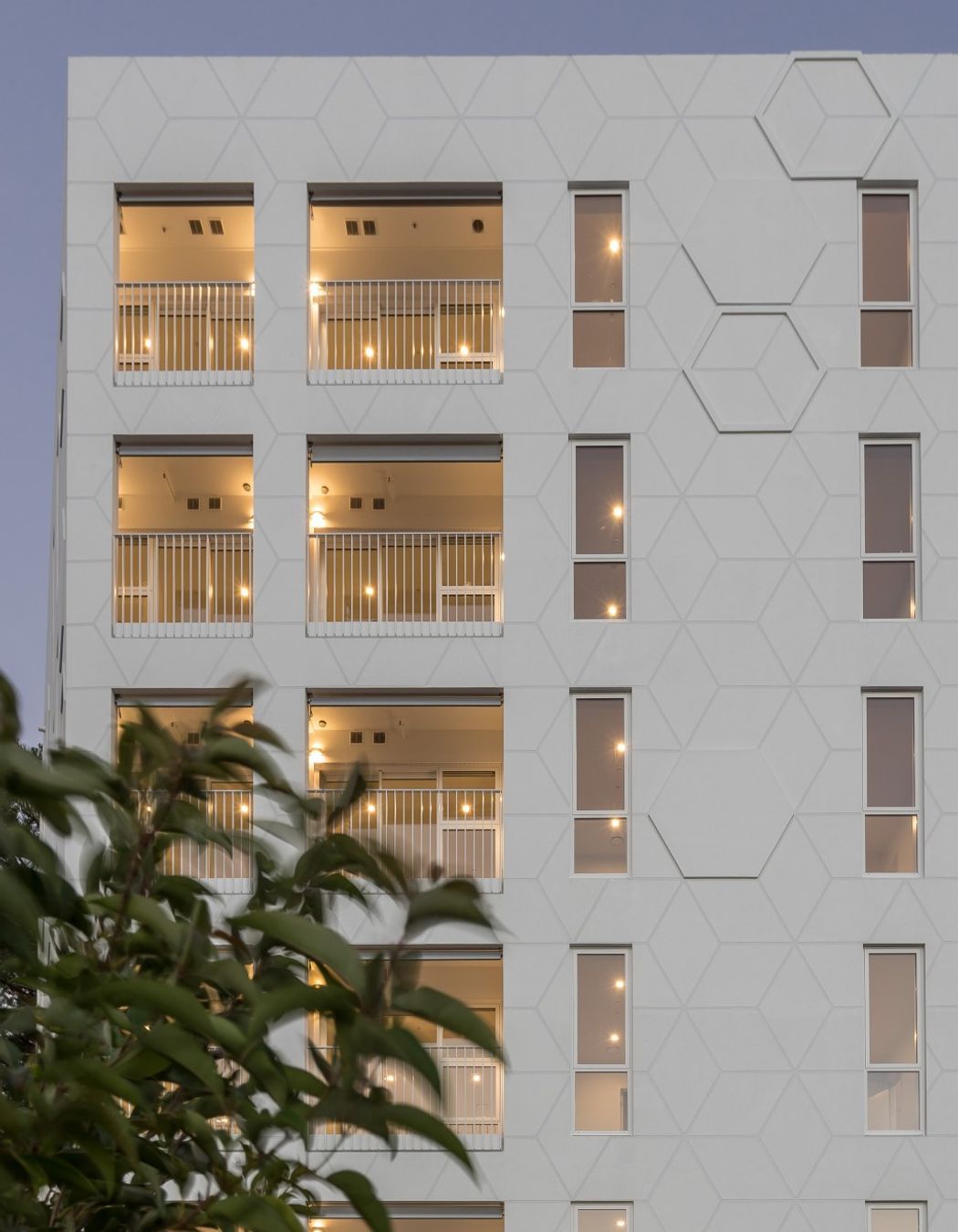 Daisy Apartments, Photography by Ockham Residential
