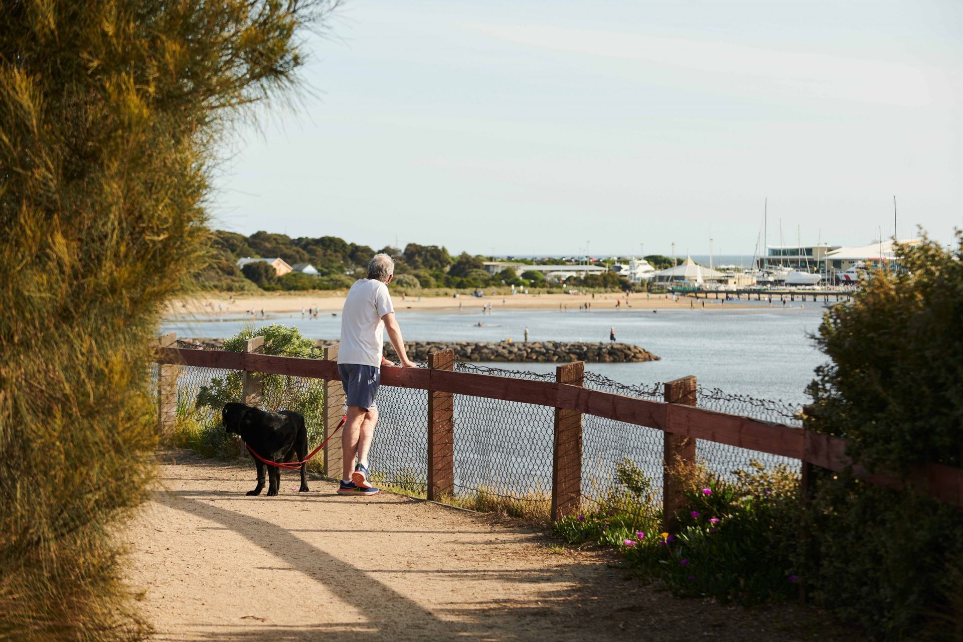 Hampton Hill, Hampton