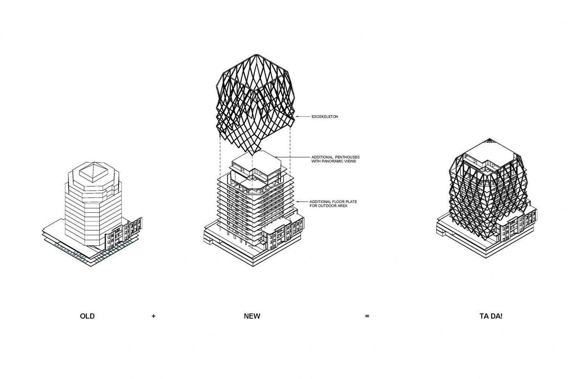 The International Auckland