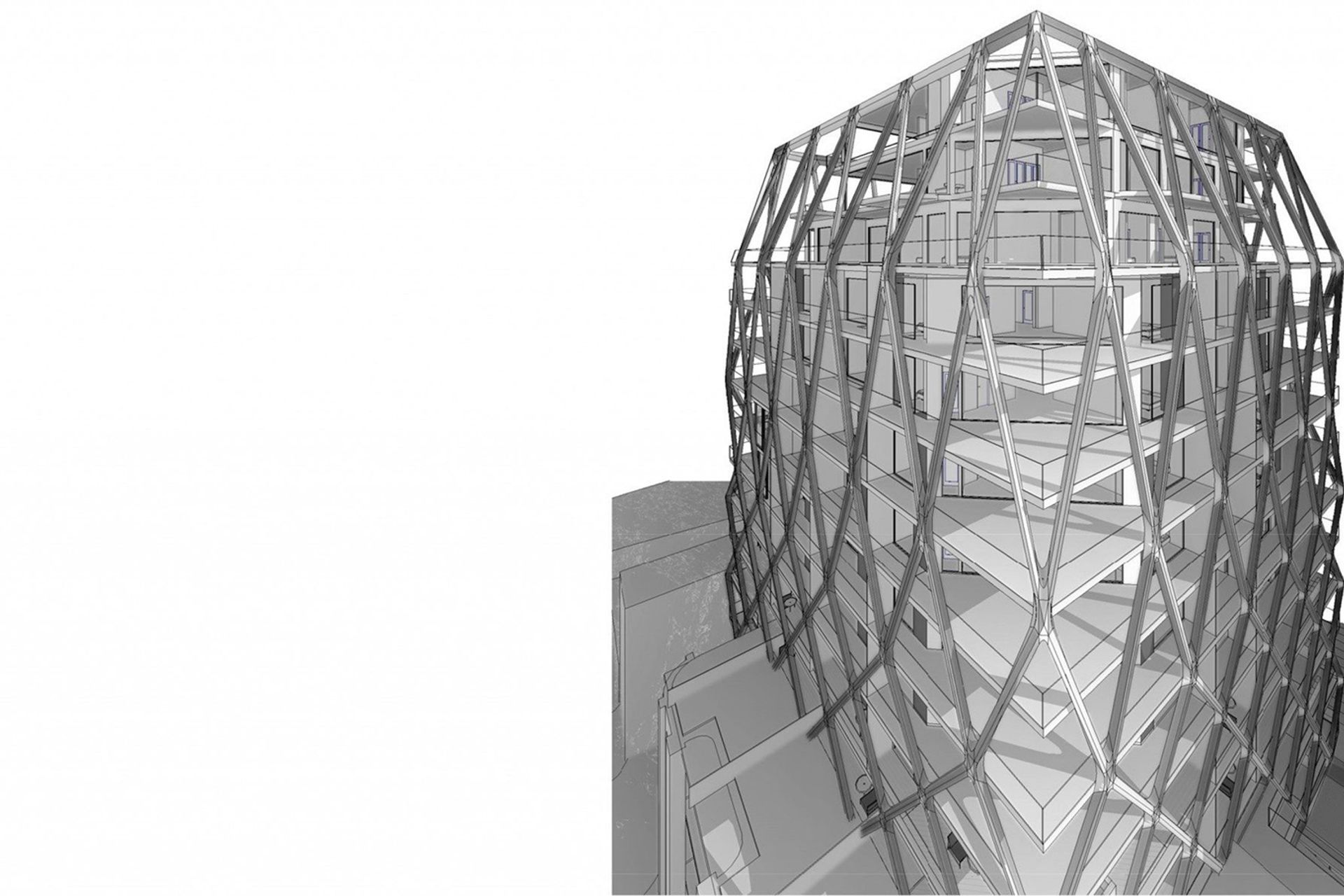 The International Auckland