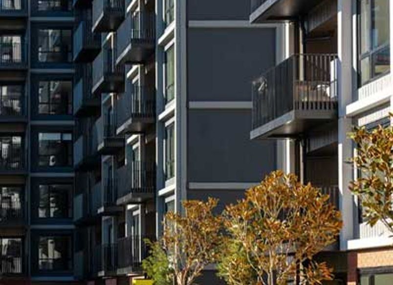 Resido Custom Planters - Sylvia Park