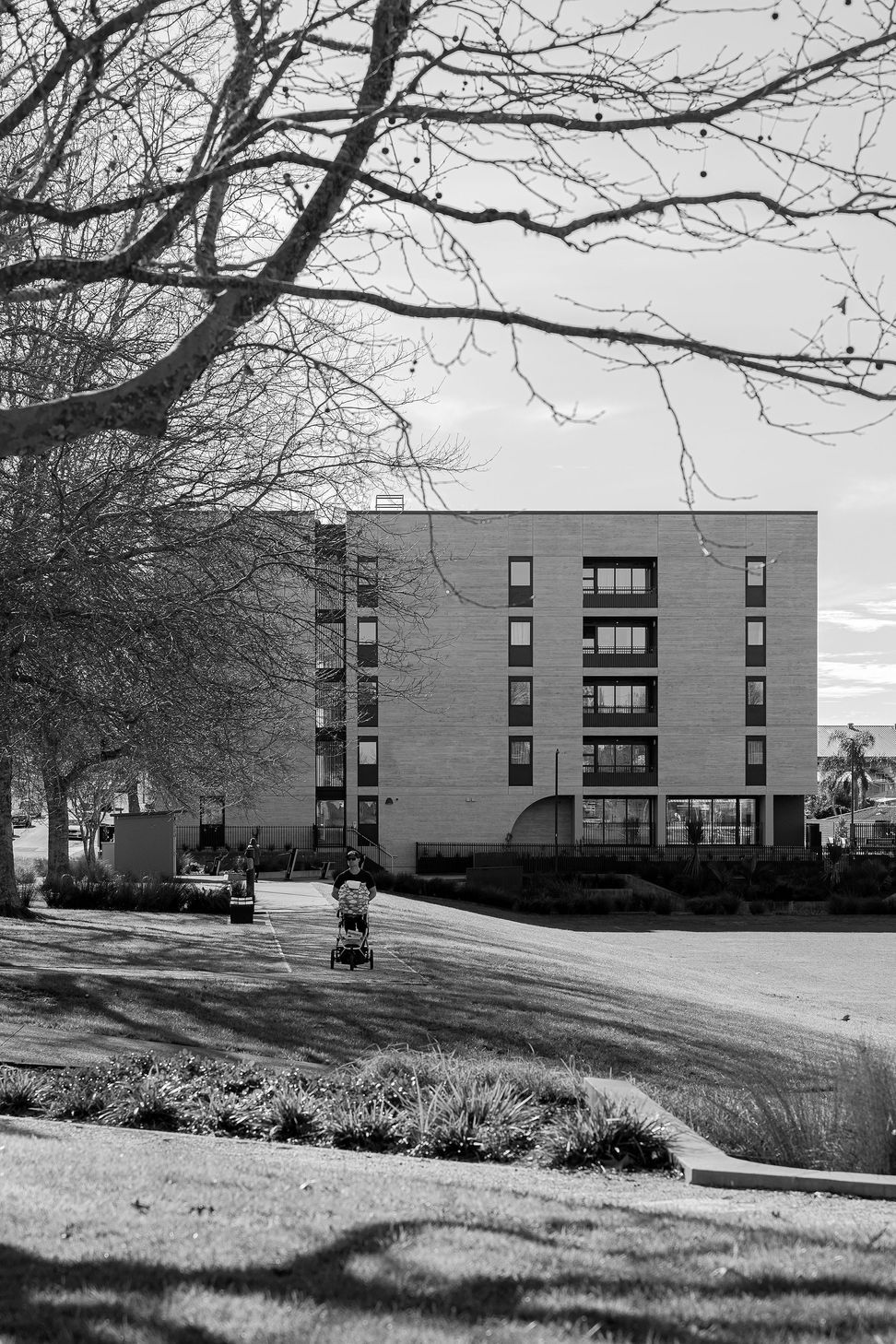 sdw4927mmagreenslade2025bw.jpg