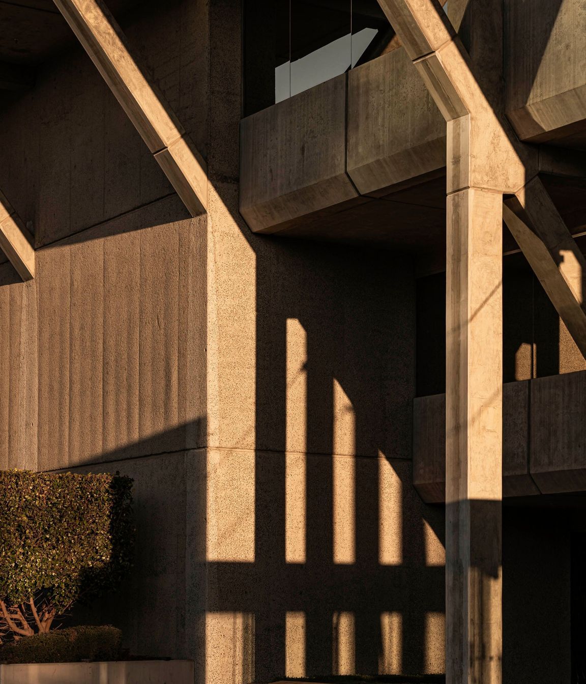 Brutalist