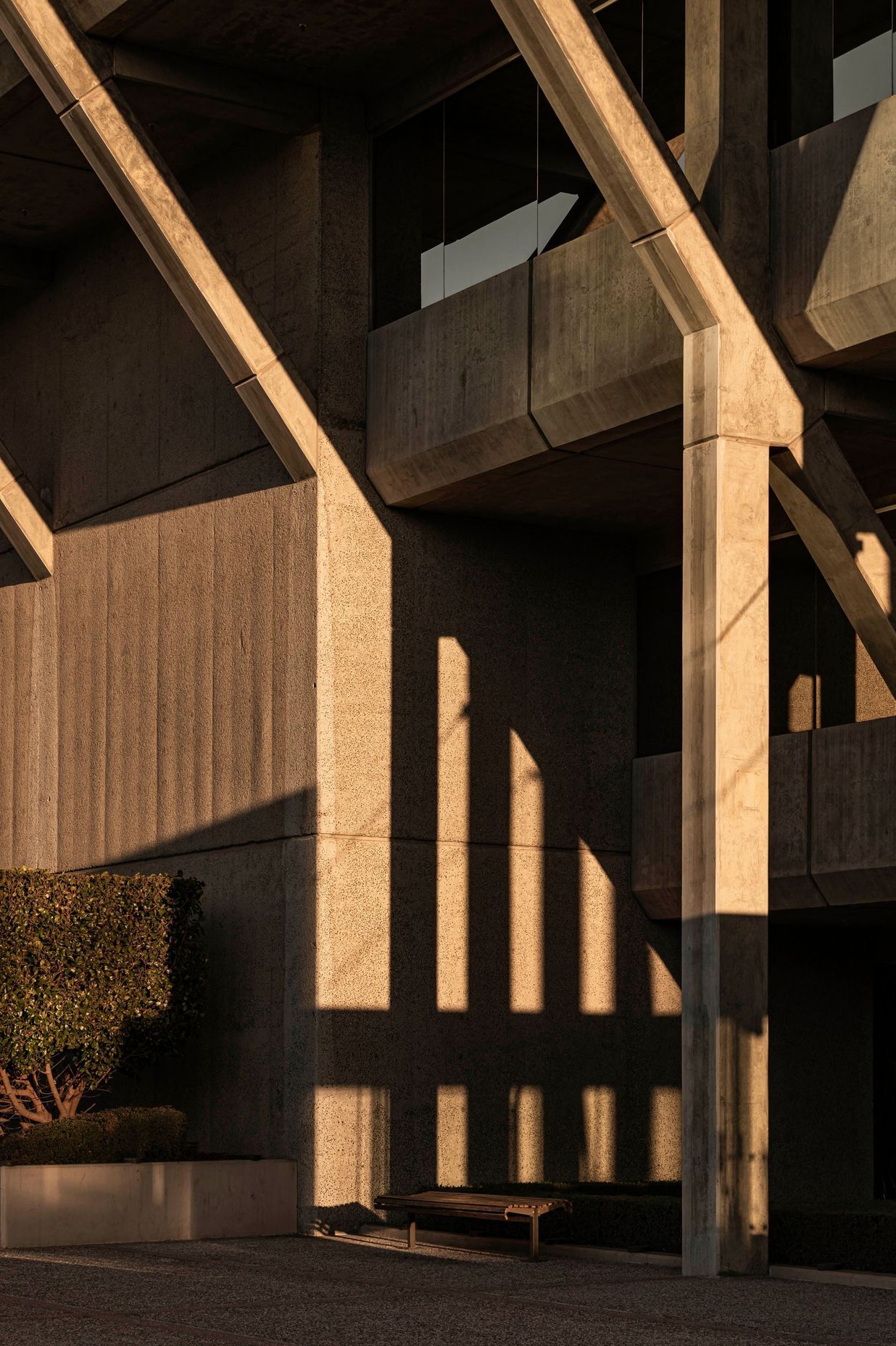 Brutalist